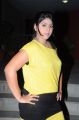 Actress Haritha @ Director Movie Audio Launch Stills