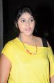 Actress Haritha @ Director Movie Audio Launch Stills