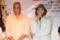 Director Movie Audio Launch Stills