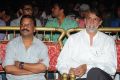 Director Movie Audio Launch Stills