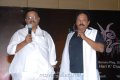 Disco Audio Release Stills