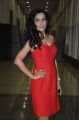 Disha Pandey Hot Pics @ Ctrl-C Audio Release