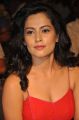 Actress Disha Pandey Pics @ Ctrl-C Audio Release