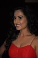 Disha Pandey Hot Pics @ Ctrl-C Audio Release