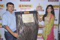 Disha Pandey at Darpan 1st Anniversary Celebrations Gallery