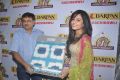 Actress Disha Pandey @ Darpan Furnishing 1st Anniversary Photos