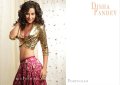 Disha Pandey Hot Photo Shoot Stills