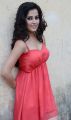 Disha Pandey in Light Red Dress Hot Photoshoot Pics