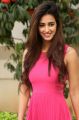 Telugu Actress Disha Patani Stills @ Loafer Success Meet