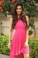 Actress Disha Patani Stills @ Loafer Success Meet