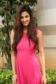 Actress Disha Patani Stills @ Loafer Success Meet