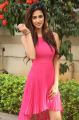 Actress Disha Patani Stills @ Loafer Success Meet