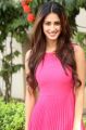 Actress Disha Patani Stills @ Loafer Success Meet