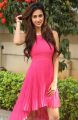 Actress Disha Patani @ Loafer Movie Success Meet