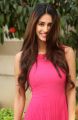 Actress Disha Patani Stills @ Loafer Success Meet