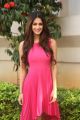 Telugu Actress Disha Patani @ Loafer Movie Success Meet