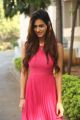 Telugu Actress Disha Patani Stills @ Loafer Success Meet