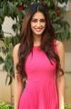 Actress Disha Patani @ Loafer Movie Success Meet