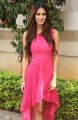 Actress Disha Patani Stills @ Loafer Success Meet