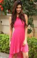 Actress Disha Patani @ Loafer Movie Success Meet