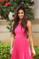 Actress Disha Patani Stills @ Loafer Success Meet