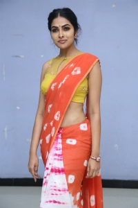 Actress Divi Vadthya Saree Pics @ ATM Webseries Trailer Launch
