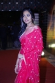 Telugu Actress Divi Vadthya Photos @ Ram Charan Birthday Celebrations