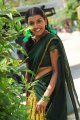 Divya Nagesh Hot Saree Photos Stills