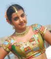 Divya Nagesh Hot Saree Photos Stills