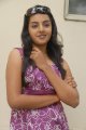 Divya Nagesh Photo Shoot Gallery