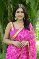 G - Zombie Movie Actress Divya Pandey Saree Pics