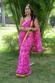G Zombie Movie Heroine Divya Pandey Saree Pics
