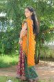 Divya Singh in  Yellow Georgette Saree Photos