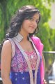 Divya Singh in Churidar Stills