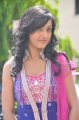 Yellow Mushrooms Movie Heroine  Divya Singh in Churidar Pics
