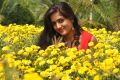 Thiruppugazh Actress Divya Singh Photos