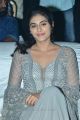 Actress Divyansha Kaushik Photos @ Majili Pre Release