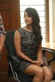 Duvvada Jagannadham Heroine Pooja Hegde Interview Photos