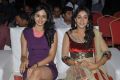 Rakul Preet Singh, Regina Cassandra at DK Bose Audio Launch Stills