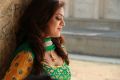 Actress Nisha Agarwal in DK Bose Latest Images
