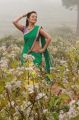 Actress Nisha Agarwal in DK Bose Movie New Stills