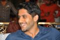 Naga Chaitanya @ Dohchay Movie Audio Launch Stills