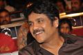 Nagarjuna @ Dohchay Movie Audio Launch Stills