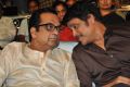 Brahmanandam, Nagarjuna @ Dohchay Movie Audio Launch Stills