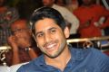 Naga Chaitanya @ Dohchay Movie Audio Launch Stills