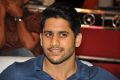 Naga Chaitanya @ Dohchay Movie Audio Launch Stills