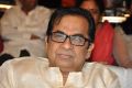 Brahmanandam @ Dohchay Movie Audio Launch Stills