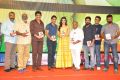 Dohchay Movie Audio Launch Stills