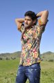 Dookudu Movie Mahesh Babu Pics