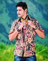 Dookudu Mahesh Babu Stills